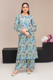 2 Piece Ready To Wear Grey Lawn Suit - ZN-32 - ZAINOOR